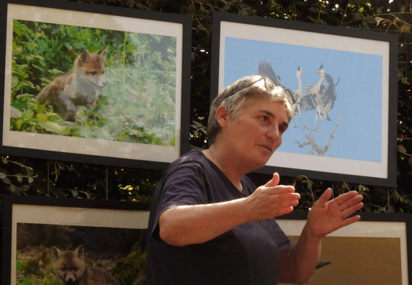 Conférence nature sous les arbres de Bastien à Avignon