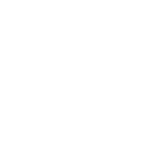Logo de France 2030